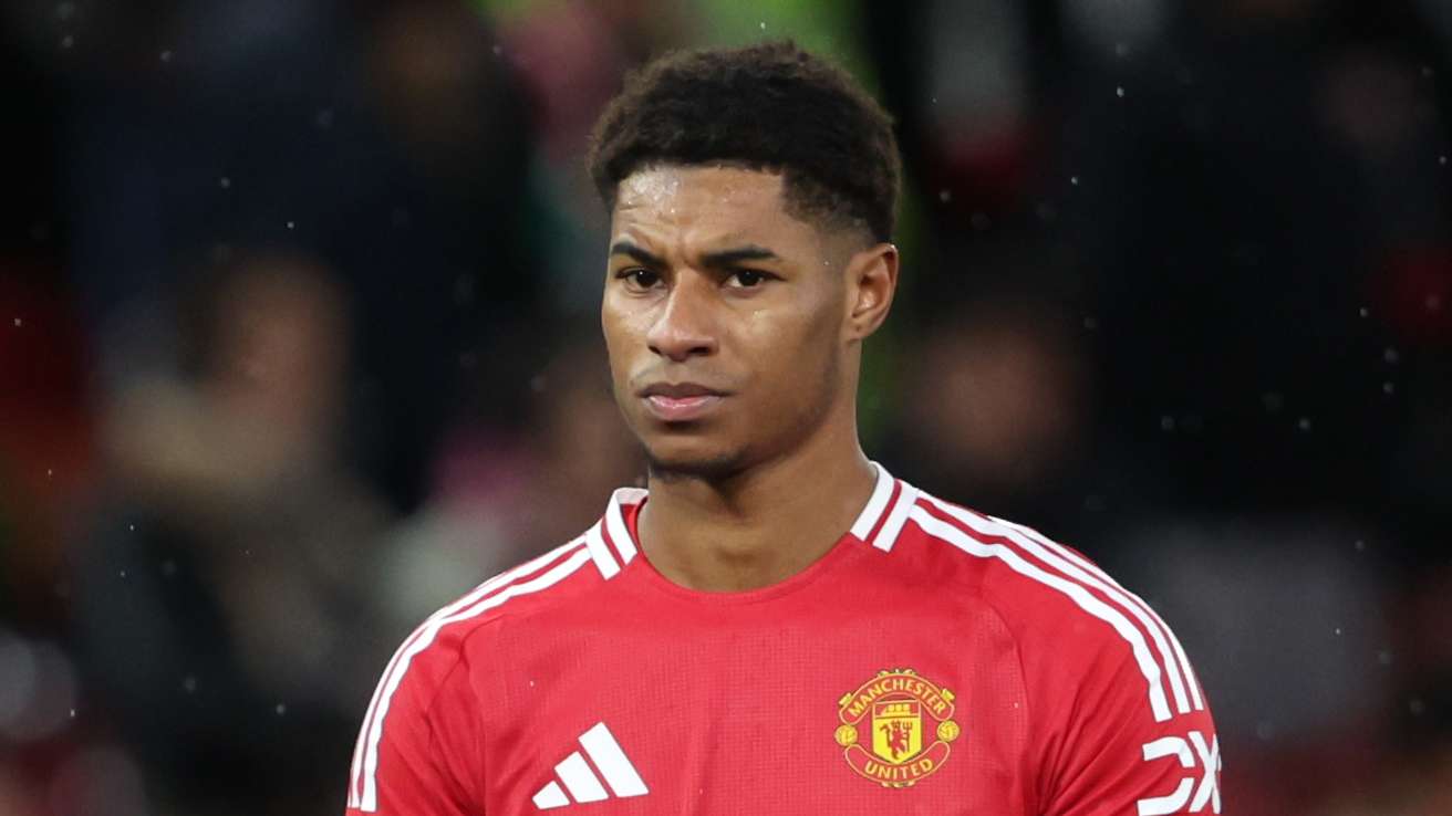 这种适应性 这种适应性