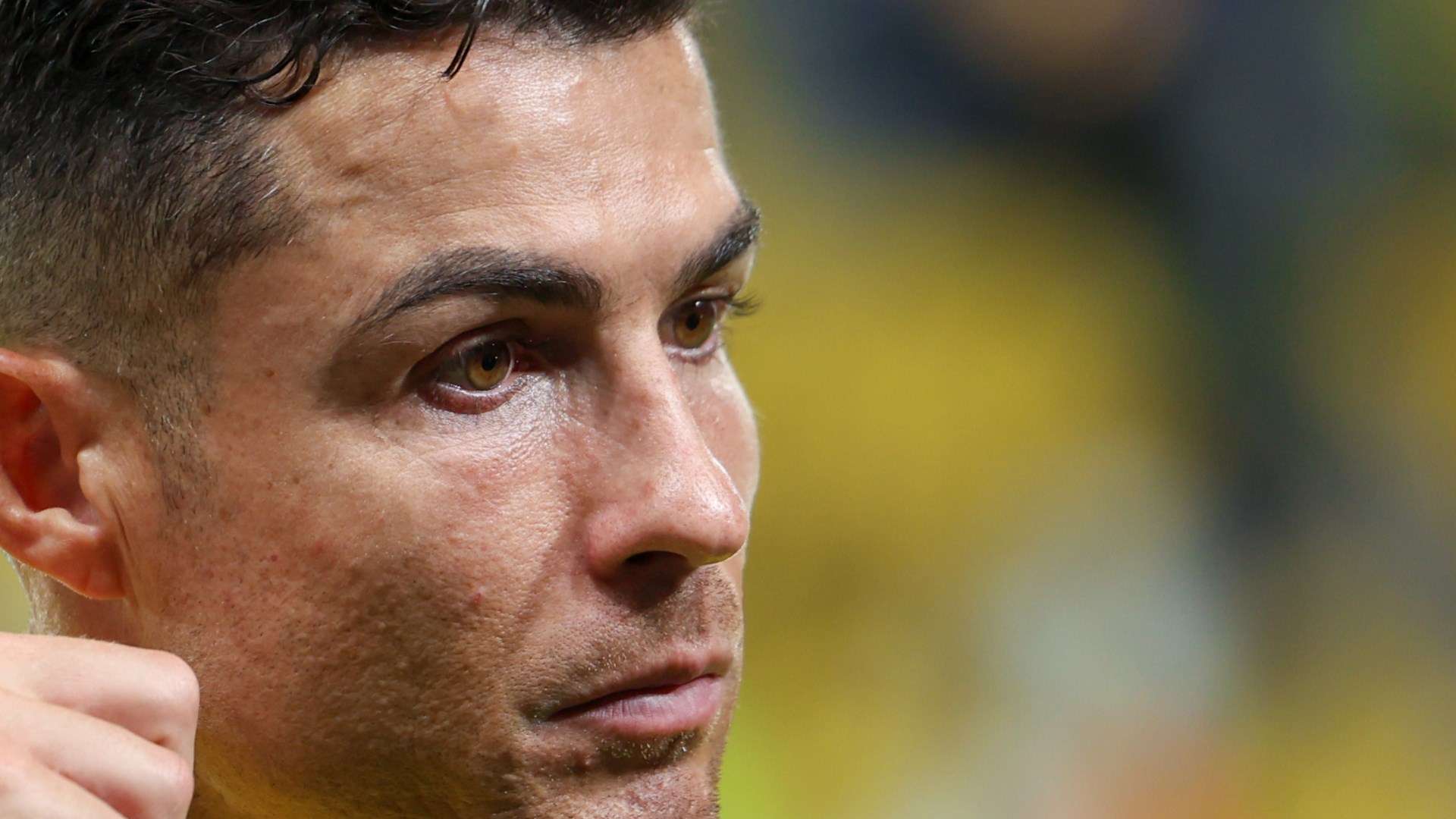 表现可能会 表现可能会