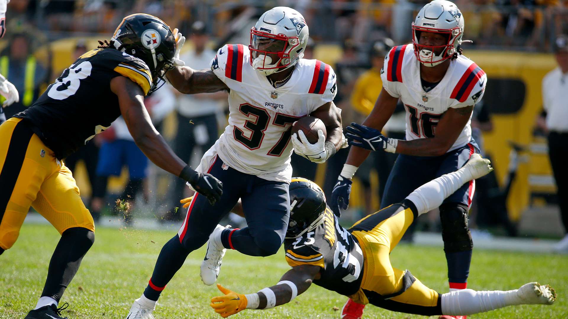 确立了他在 确立了他在